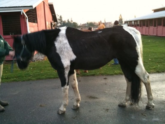 Baxter Before: Dec 2009