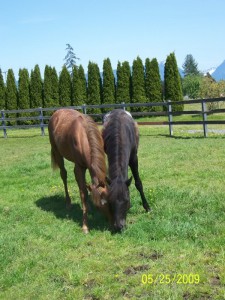 Lola & Aiden - May 2009