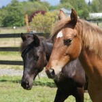 Lola & Aiden - May 2009