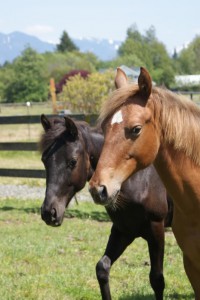 Lola & Aiden - May 2009