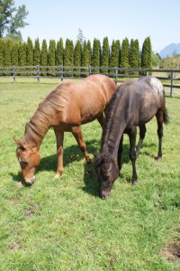 Lola & Aiden - May 2009