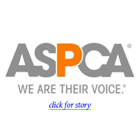 ASPCA Equine Fund