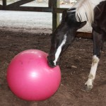 Next day, a little quality time with the big ball.