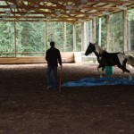 Dexter trotting over the blue tarp with confidence!