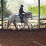 Char under saddle