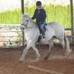 Char under saddle