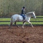 Char under saddle