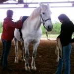 Dawn assesses the fit of Char's saddle