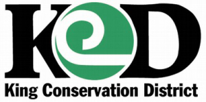 KCD logo
