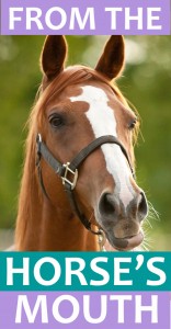 horses_mouth_icon