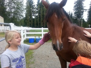 Ginger enjoying the kids attention