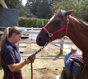 Terry holds Portland for the farrier