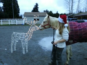 Curious Jewel sniffs noses with a reindeer-brave little girl! 