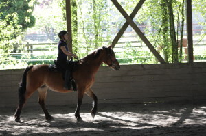 Skye and Terry at work in the arena