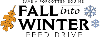 fall_into_winter_logo