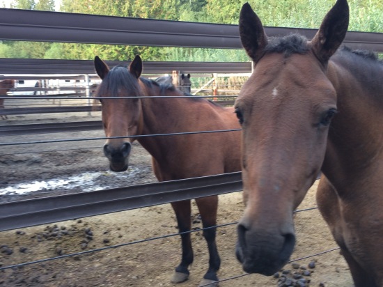 Owen and Maybelle