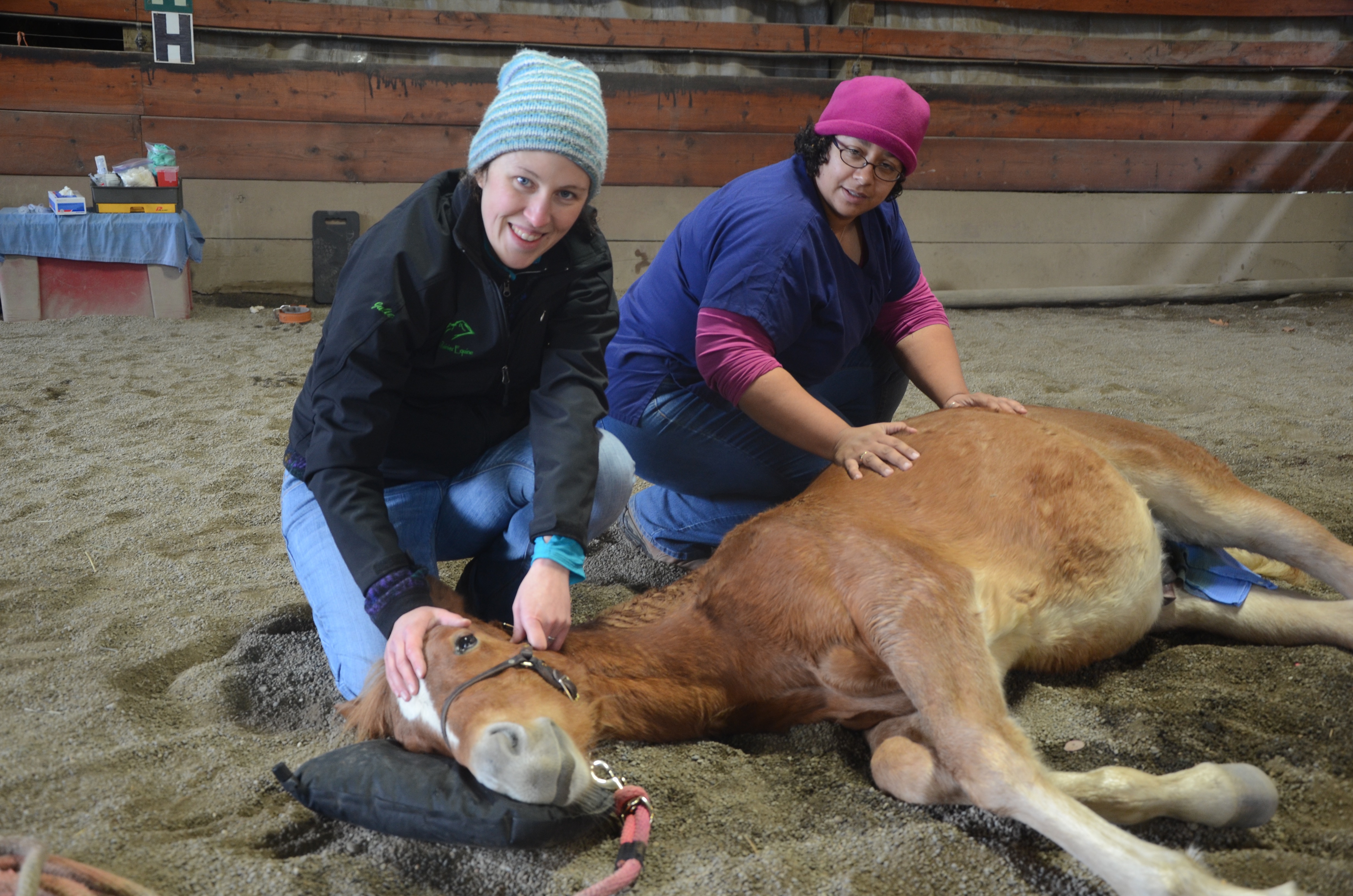 Low Cost Gelding Clinic Recap