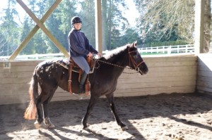 Misty (with volunteer rider Sara E in the saddle)