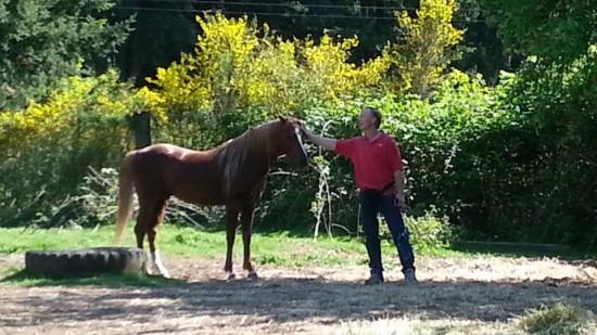Darik and the stallion