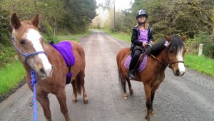 Maggie out for a walk (Isabelle is riding Tucker)