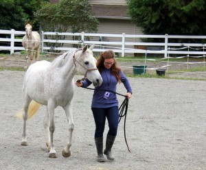 Heather walking Karma for her rehab.