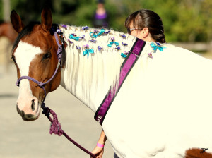 Nala at the SAFE Benefit Horse Show 