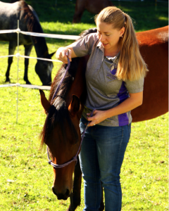 Teaching Stella to put her own halter on