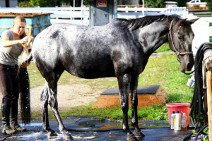 Bath time!