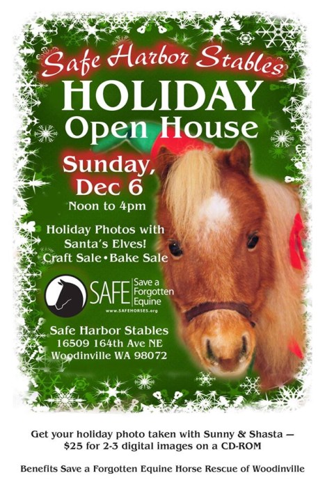 Holiday Open House 2015