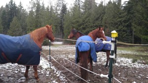 First meeting of the girls...