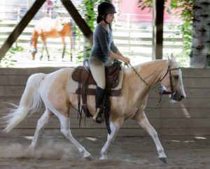 Looking good with volunteer rider Sydney!