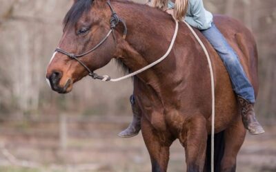 Cosmo is in search of a new home