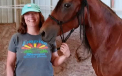 Six Years a SAFE Horse
