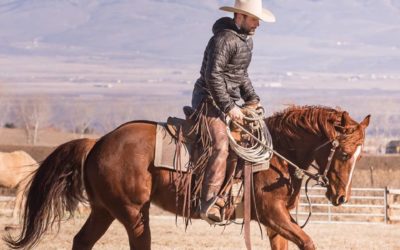 Joel Conner Horsemanship Clinic: April 27–29