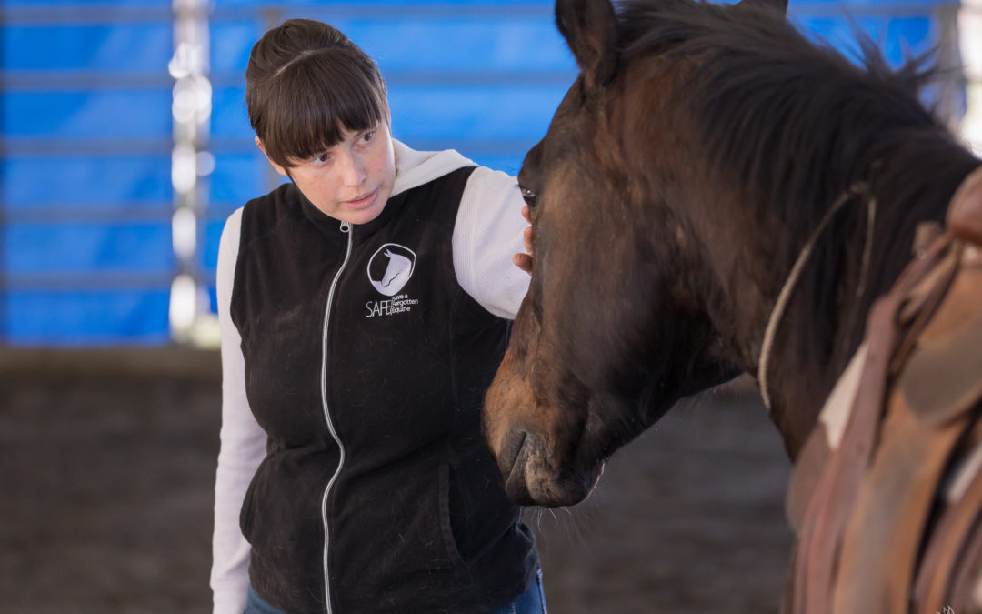 Teddi and Roscoe Training Update