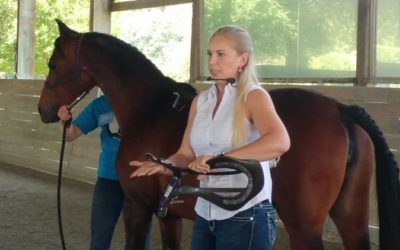 Equine Wellness Expo — Sunday, July 22, 2018