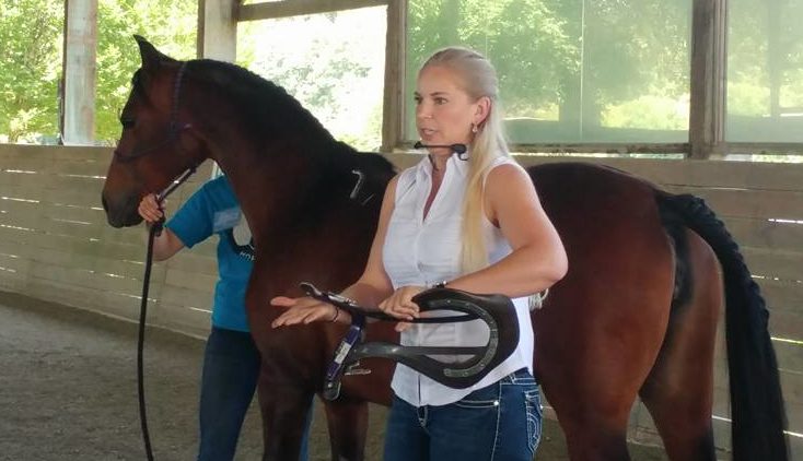 Equine Wellness Expo — Sunday, July 22, 2018