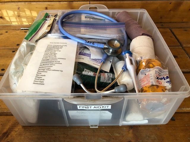 What’s in Your First Aid Kit?