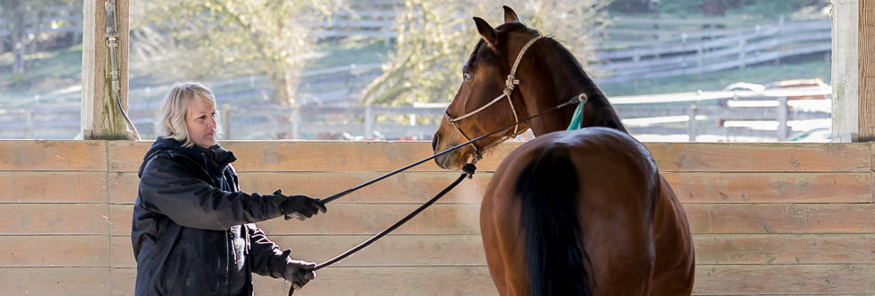 Mason: Horsemanship Clinic Report