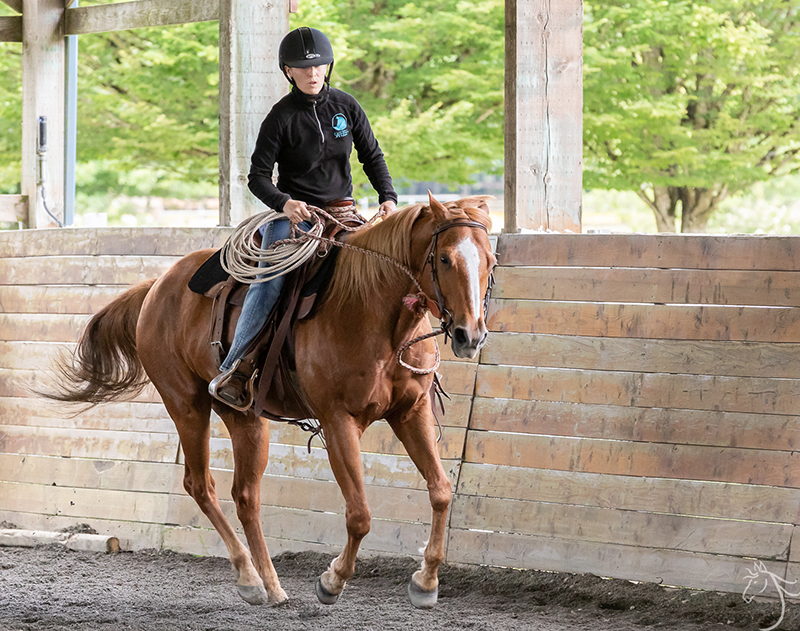 Nashville: Horsemanship Clinic Report