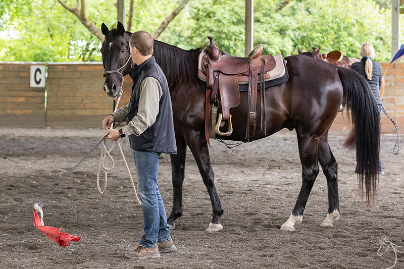 Ru: Horsemanship Clinic Report