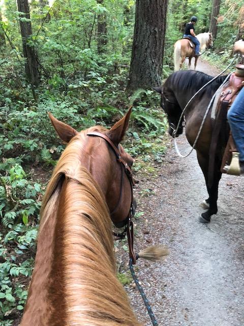 Nashville’s First Trail Ride