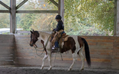 Joel Conner Clinic Report: Tabitha