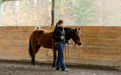 Joel Conner Clinic Report: Sage