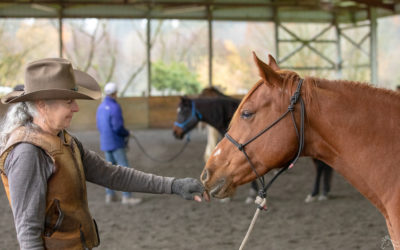 Joel Conner Clinic Update: Teddi