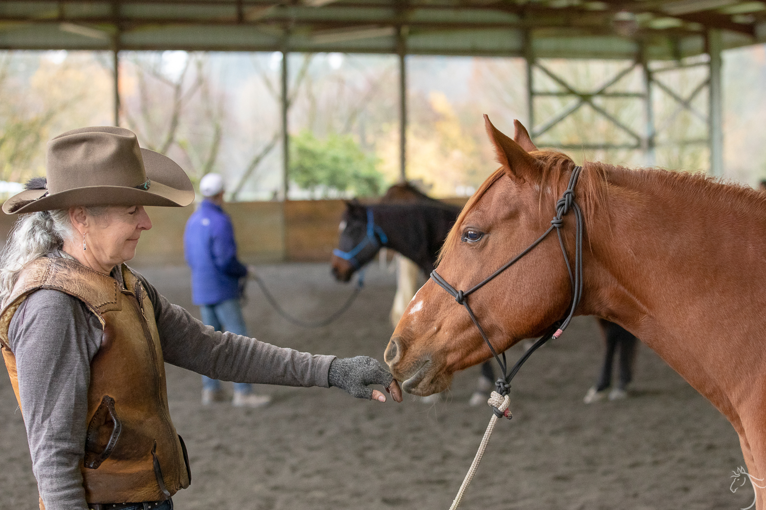 Joel Conner Clinic Update: Teddi