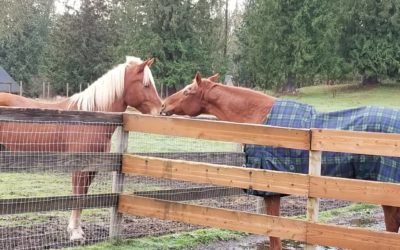 Rescue Outside the Box
