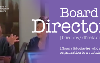 Board of Directors Recap 2018