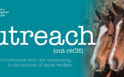 Outreach Recap 2018