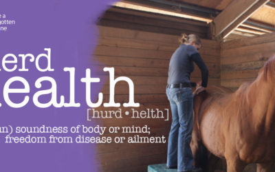 Herd Health Recap 2018